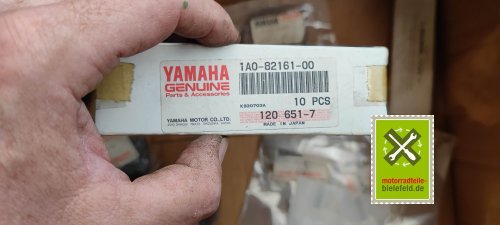 IMG_20230828_105342